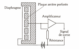 Shma d'un microphone lectrostatique (micro  condensateur)